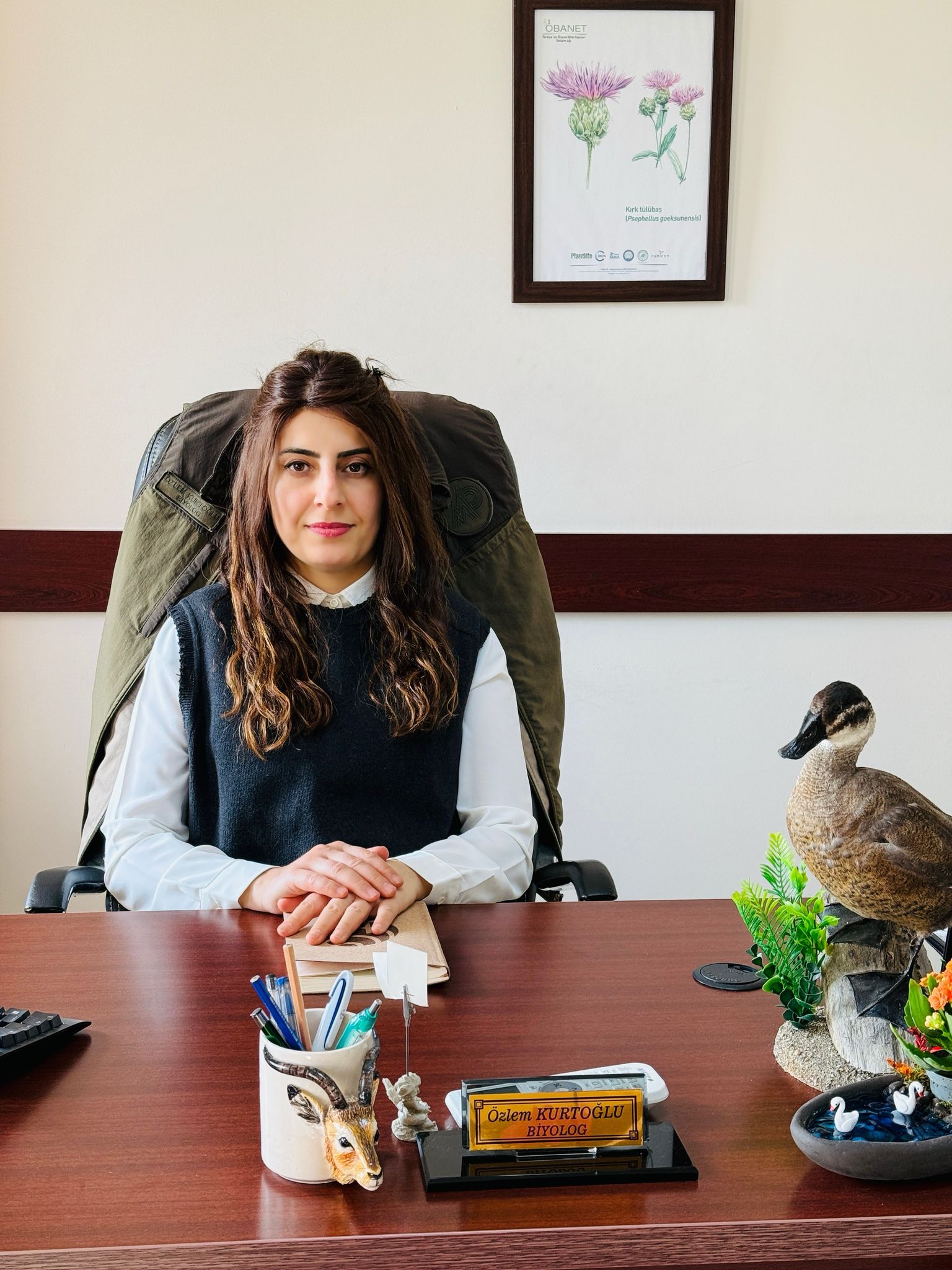 WhatsApp Image 2025-03-21 at 15.35.15.jpeg