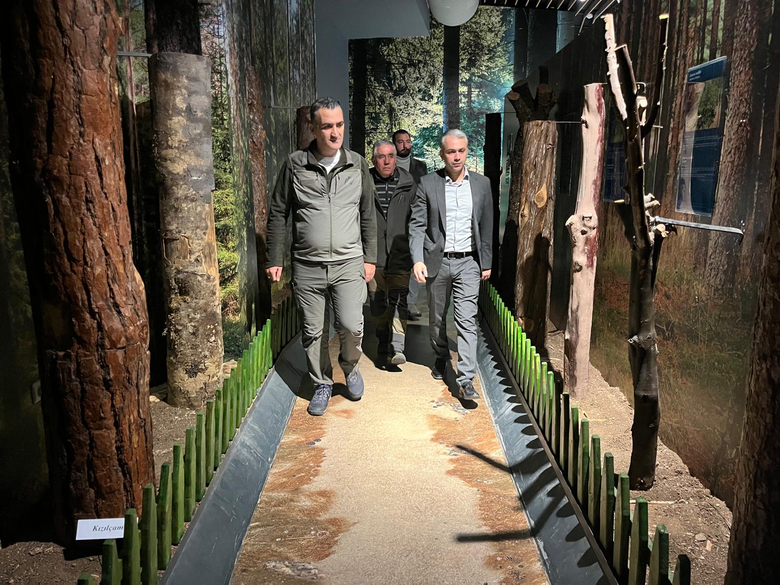 WhatsApp Image 2026-02-10 at 15.25.45.jpeg