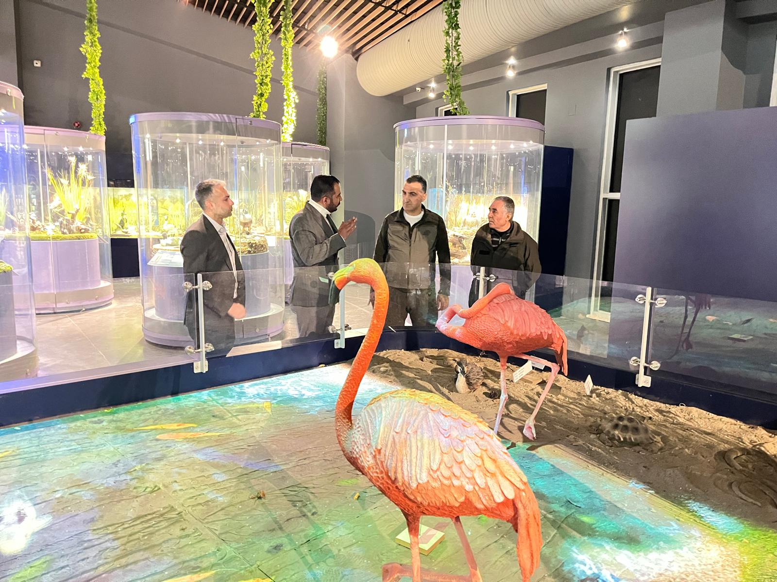 WhatsApp Image 2026-02-10 at 15.25.46.jpeg